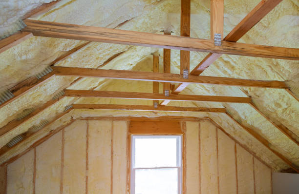 Best Garage Insulation Installation  in Rancho Alegre, TX