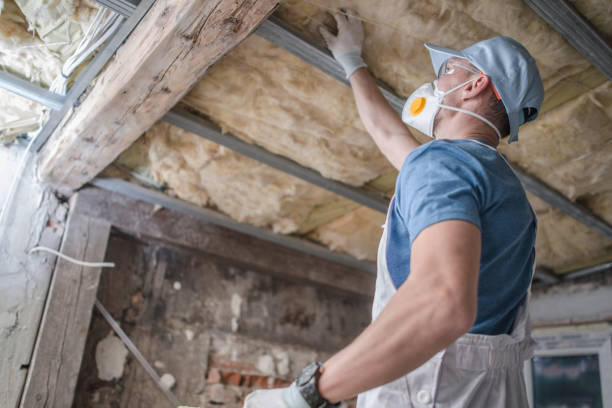 Best Insulation Replacement Services  in Rancho Alegre, TX