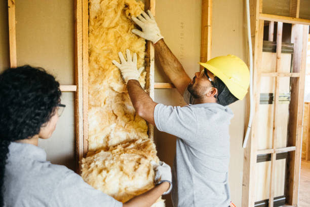 Best Attic Insulation Installation  in Rancho Alegre, TX